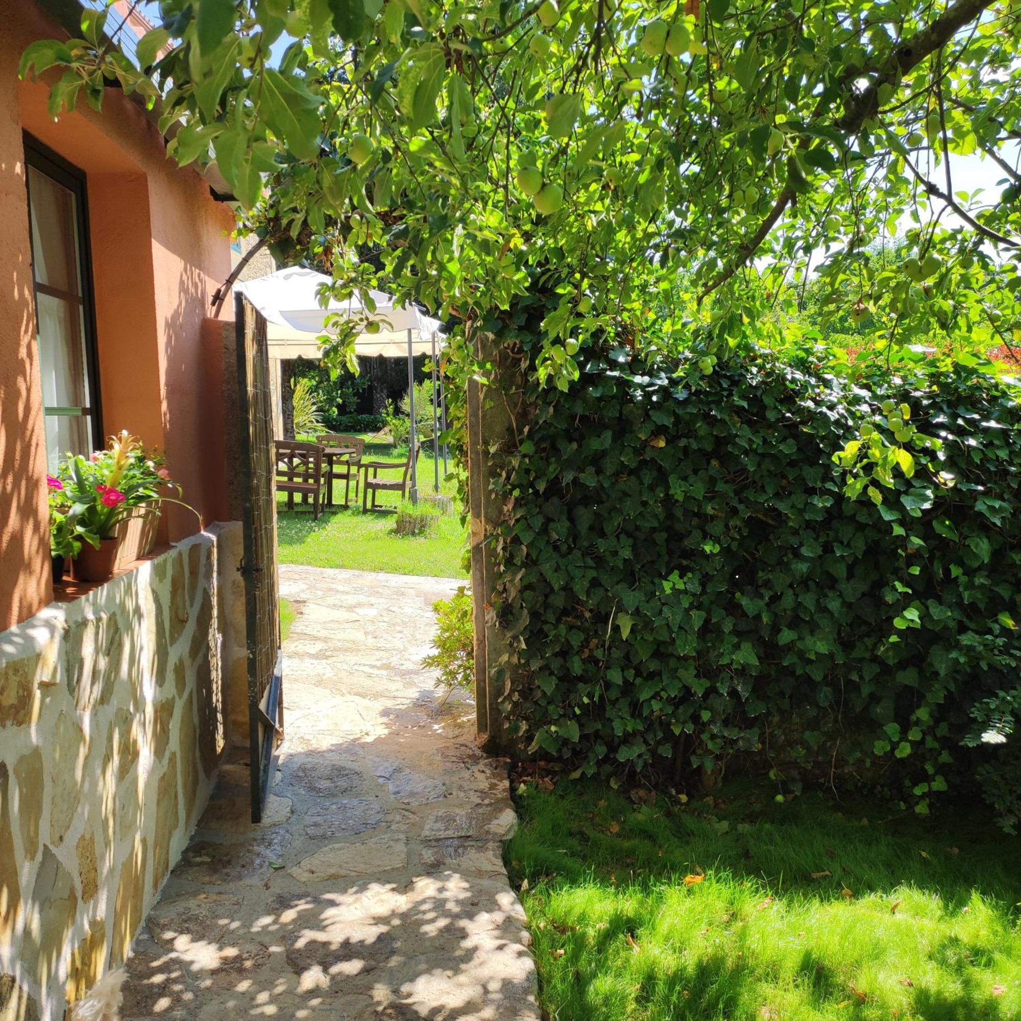 Casa Dos Cregos Διαμέρισμα Bascuas Εξωτερικό φωτογραφία
